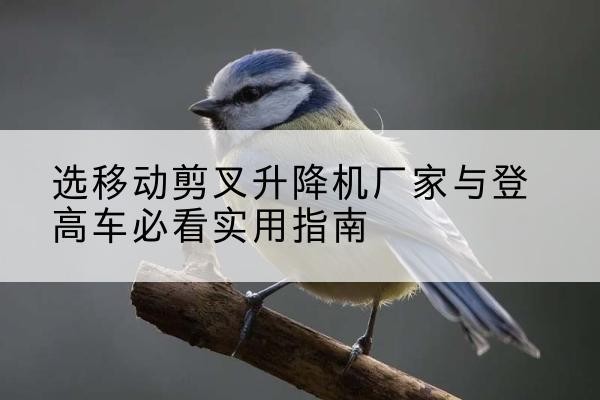 汕头电动升降机厂家-选移动剪叉升降机厂家与登高车必看实用指南