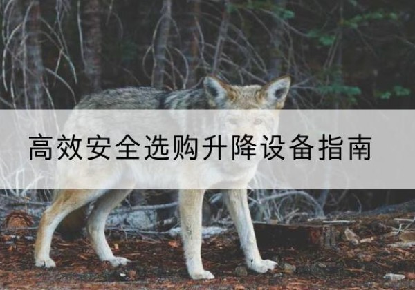 汕头升降货梯厂家推荐-*安全选购升降设备指南