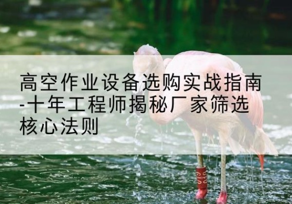 汕头剪叉式升降机厂家-高空作业设备选购实战指南-十年工程师揭秘厂家筛选核心法则